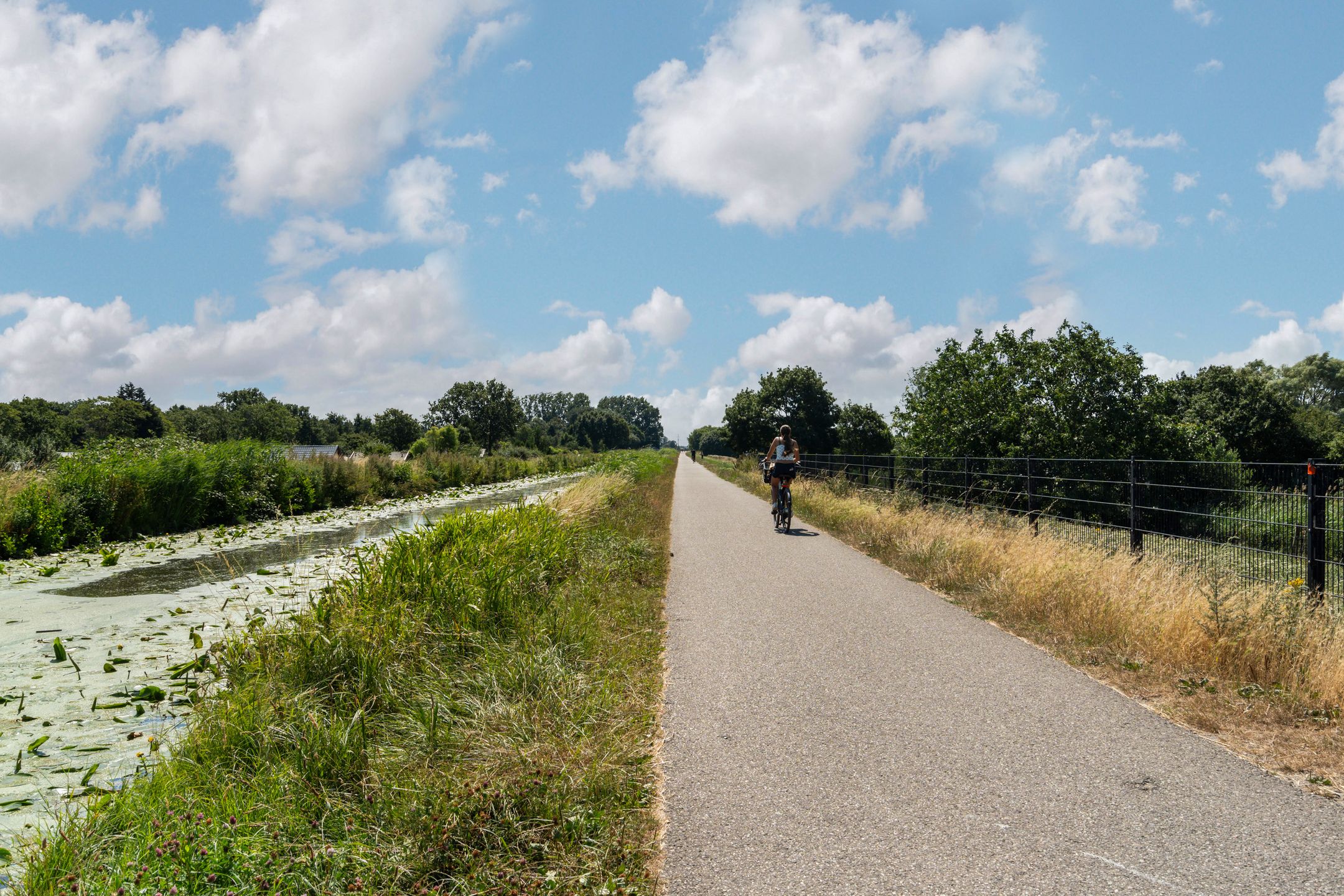 Photo 33 of Waterlandsingel 14-A