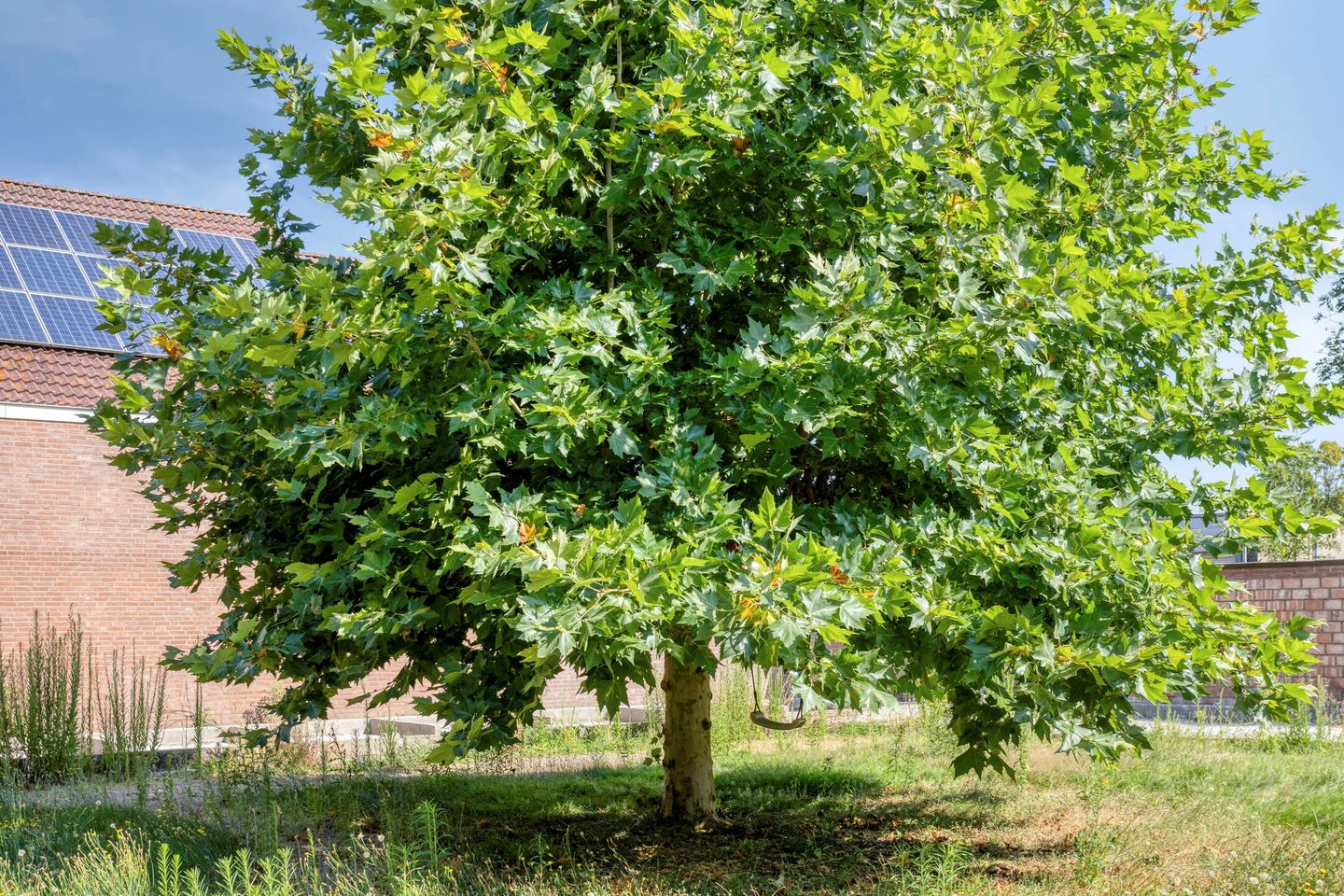 Foto 40 van Prins Clauslaan 6