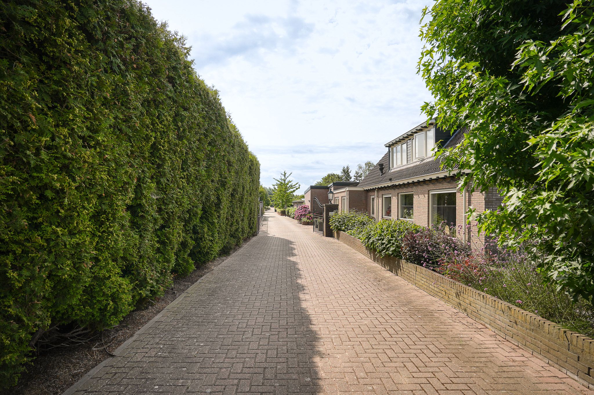 Photo 51 of Peperstraat 9