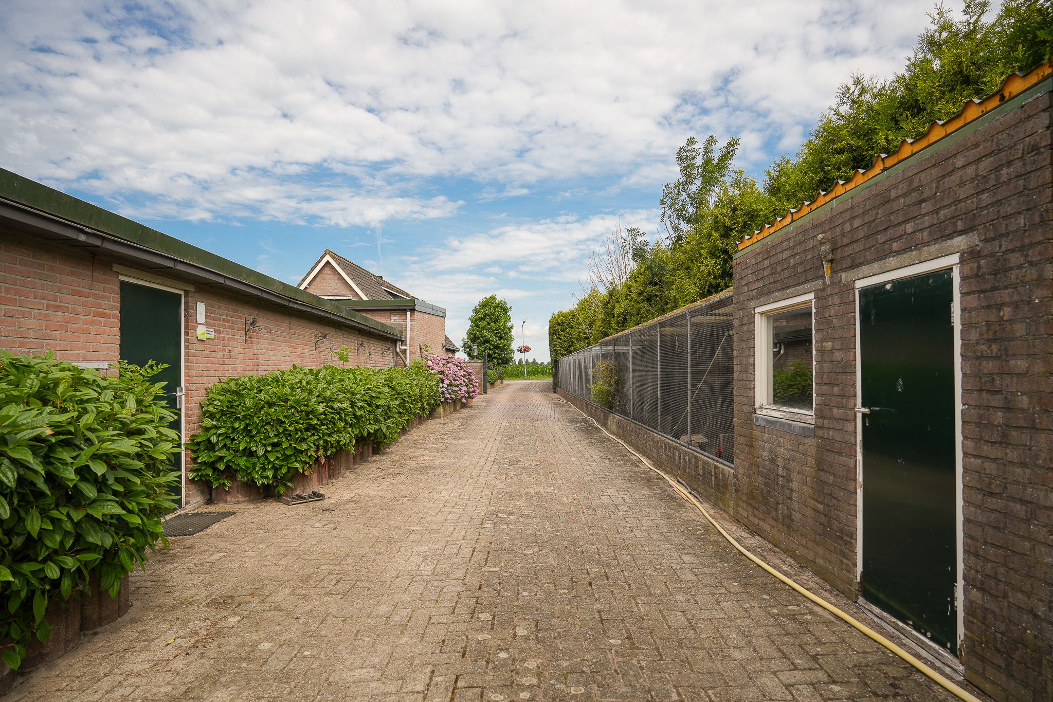 Photo 78 of Peperstraat 9