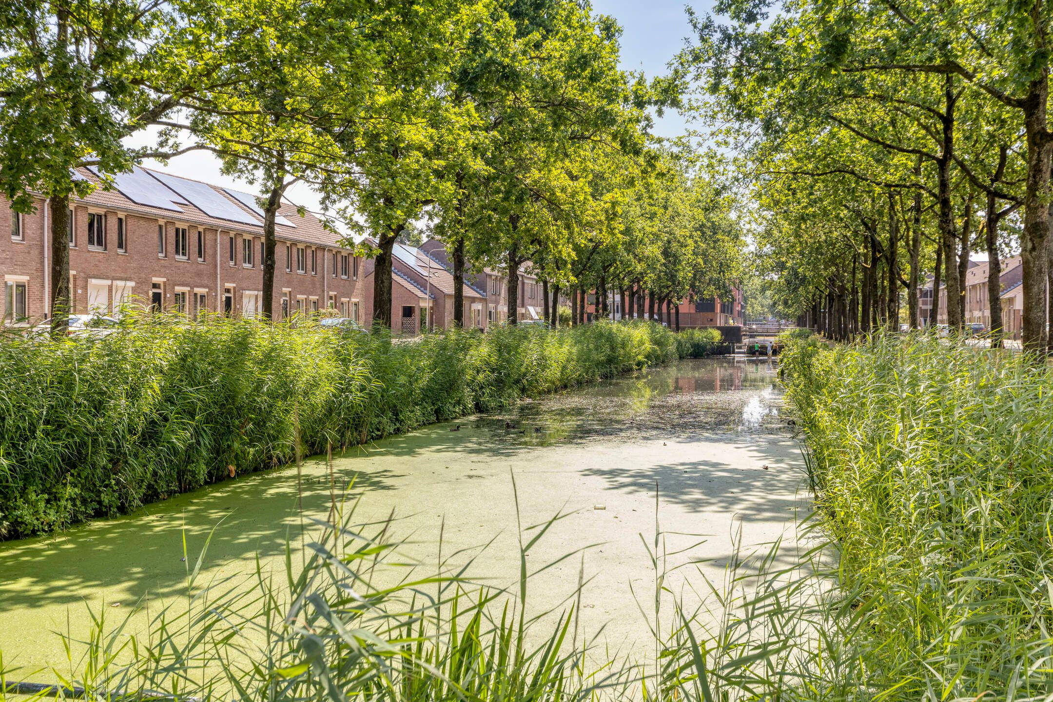 Photo 51 of Bunschotenstraat 77