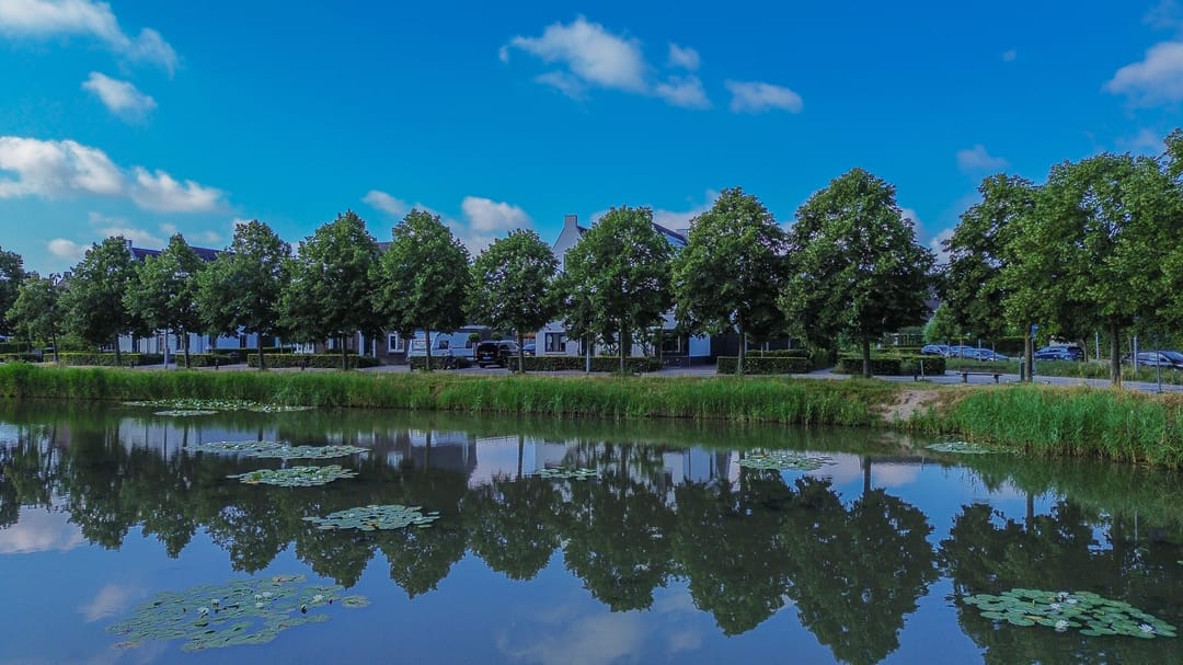 Photo 53 of Bloemenweg 45