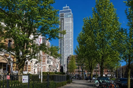 Houtlaan thumbnail