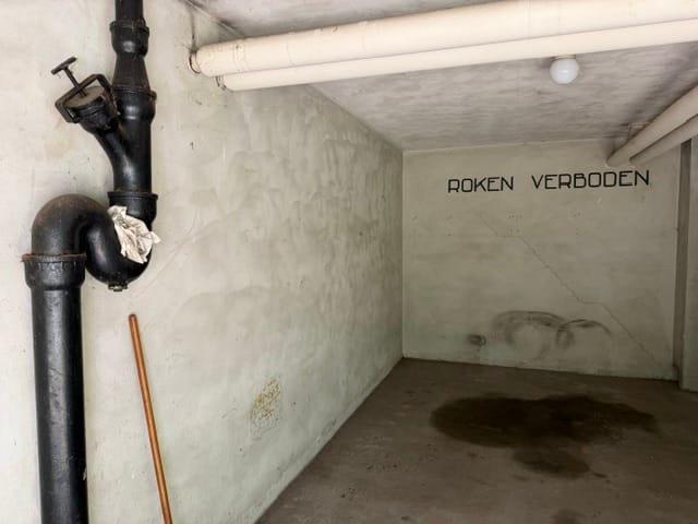Foto 4 van Parelmoerhorst 364