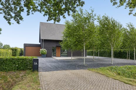 Molenhoefstraat thumbnail