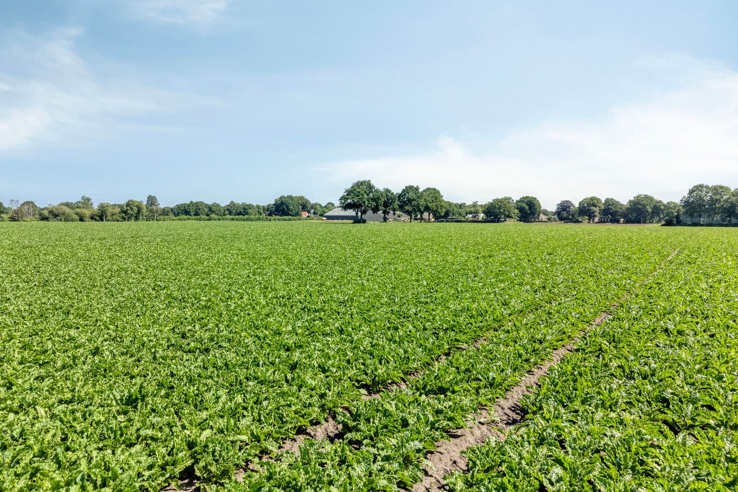 Mandelandenweg 5-b - Eelde - Afbeelding 7