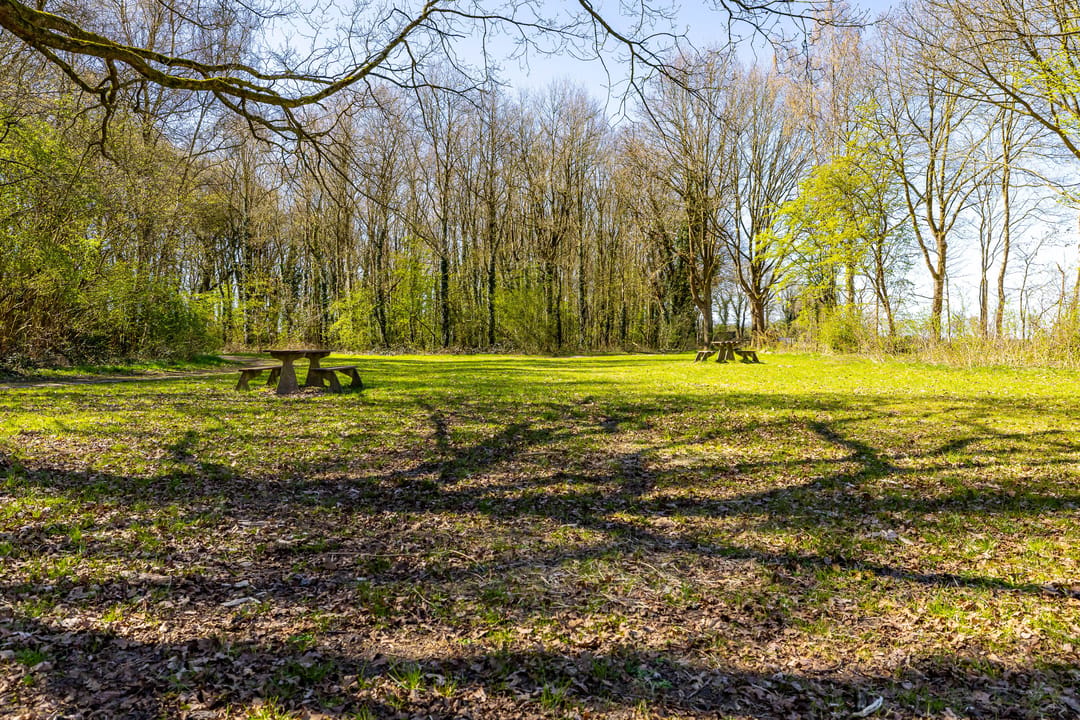Photo 53 of Bosweg 2