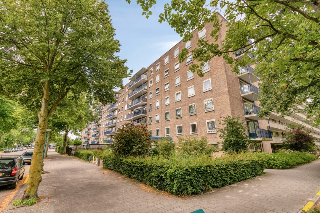 Photo 8 of Aert van Neslaan 206