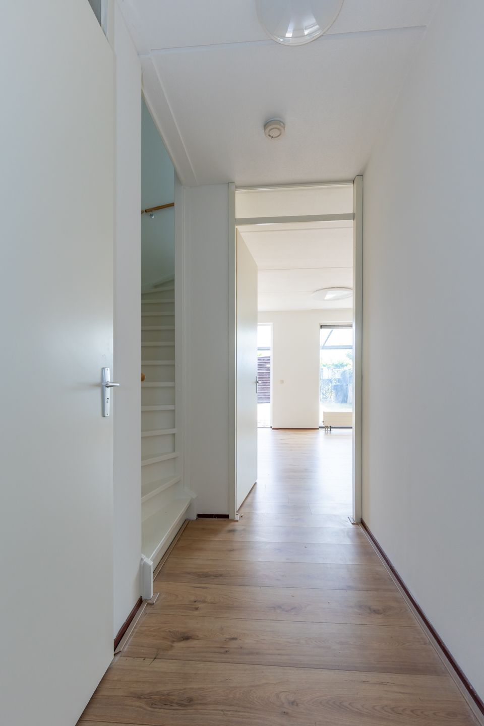 Foto 11 van Haspengouw 5