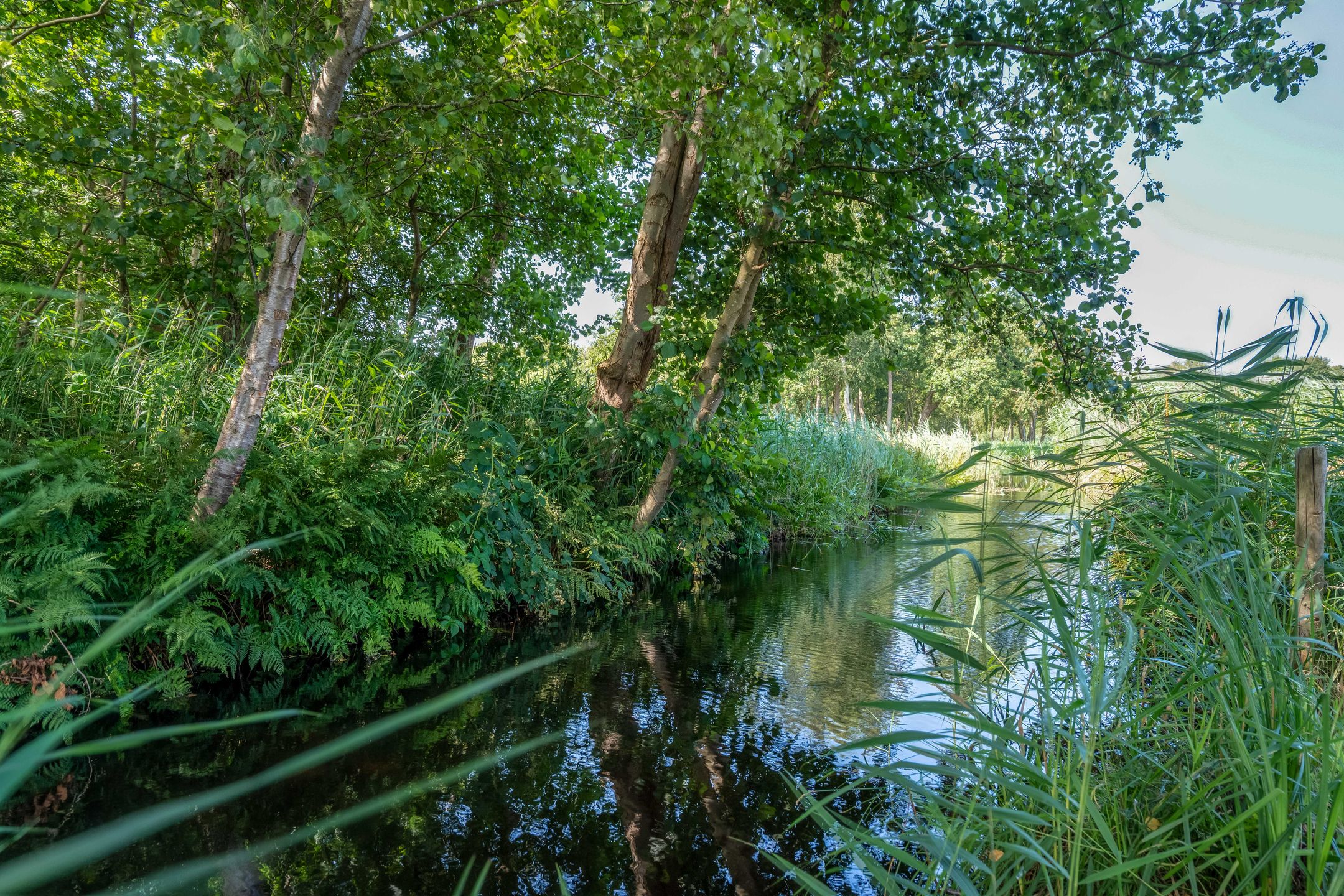 Photo 36 of Hoogeweg 22