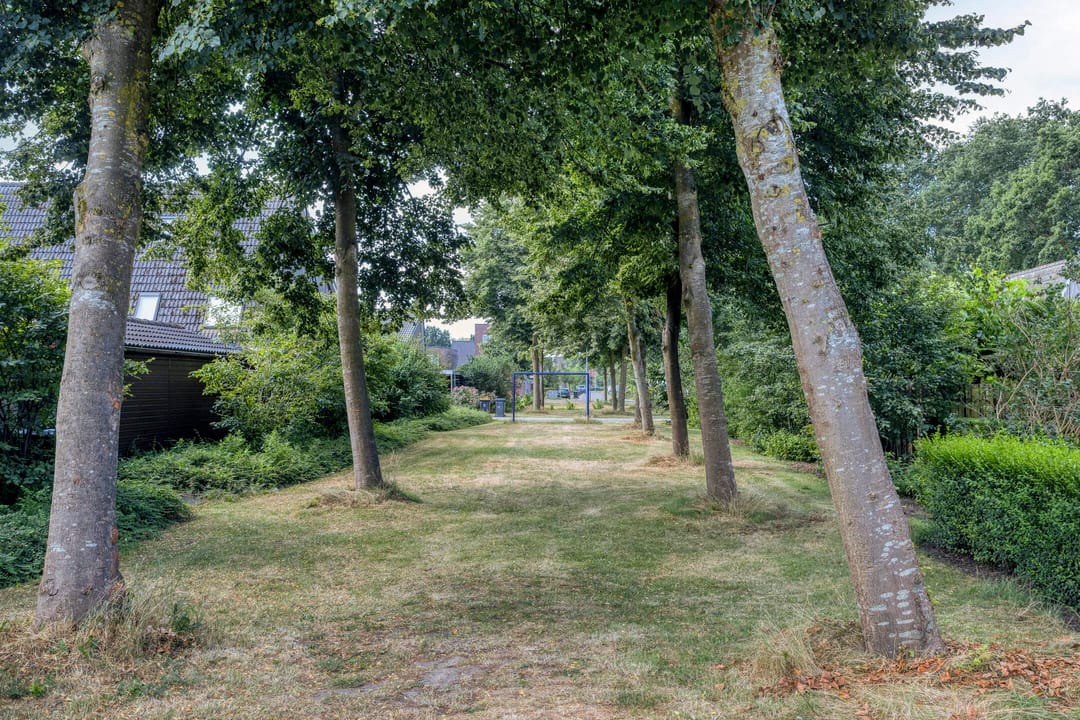 Foto 46 van Pastoor A.C. Damesstraat 11