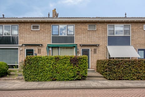 Looierijstraat thumbnail