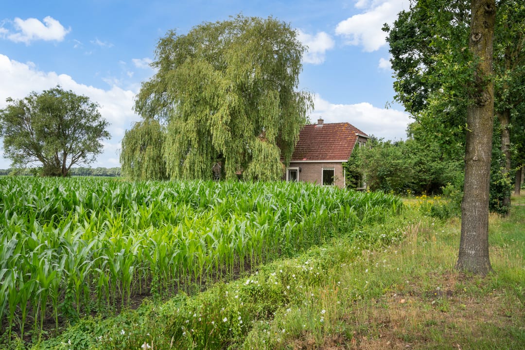 Photo 26 of Mr. Harm Smeengeweg 19