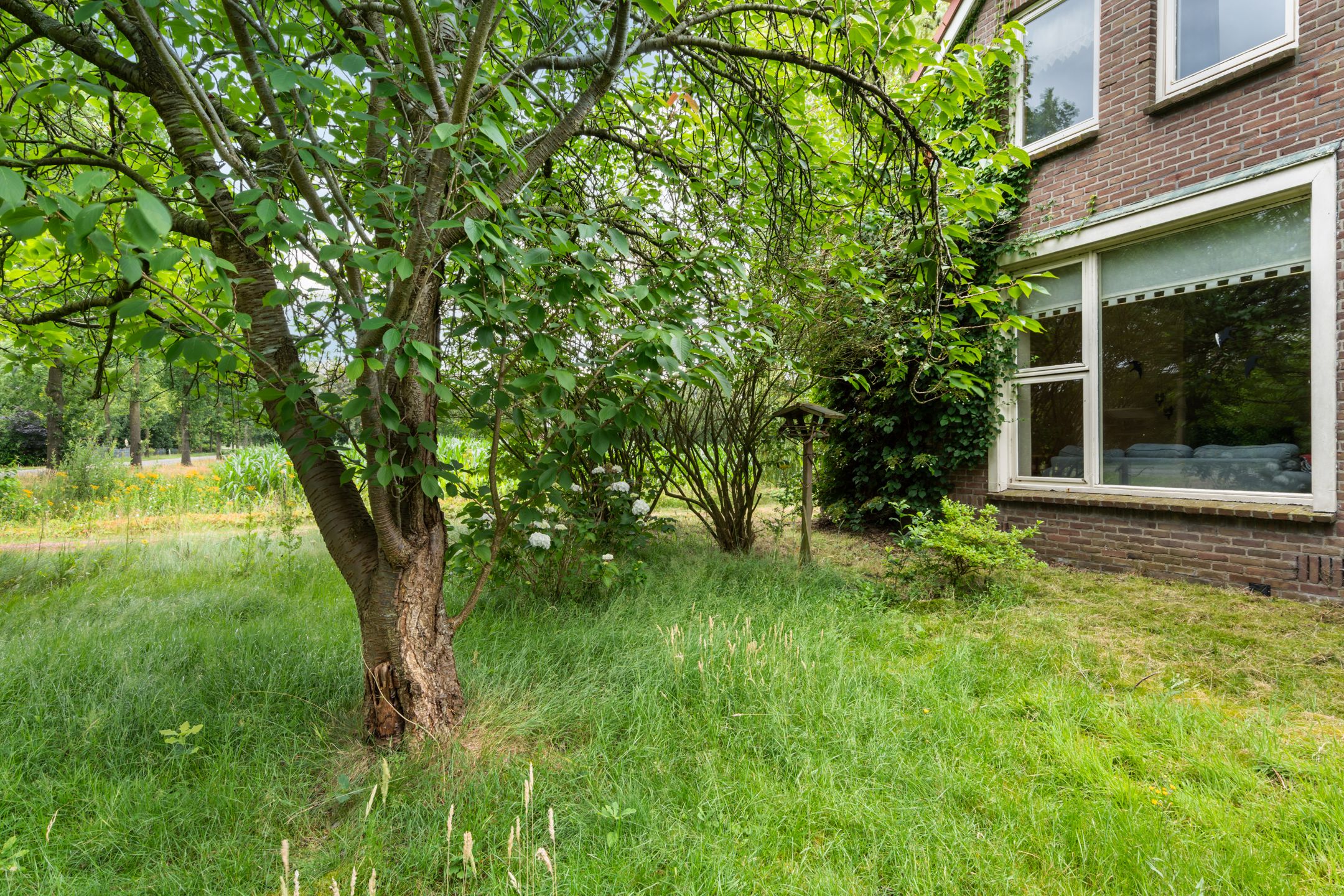 Photo 45 of Mr. Harm Smeengeweg 19