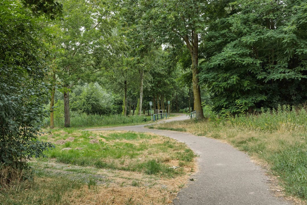 Photo 38 of Zevende Reit 17