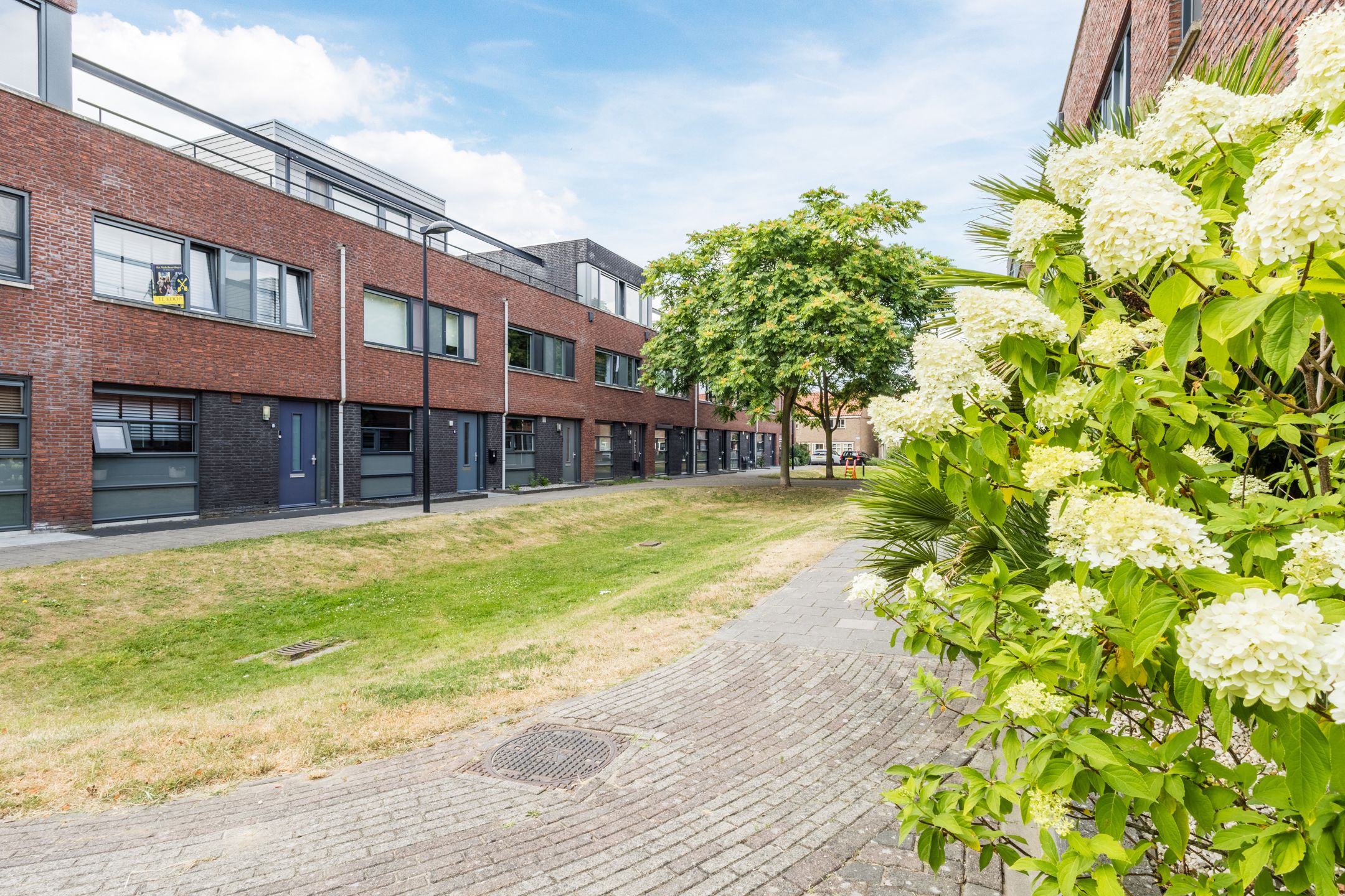 Photo 60 of Roosjestin 17