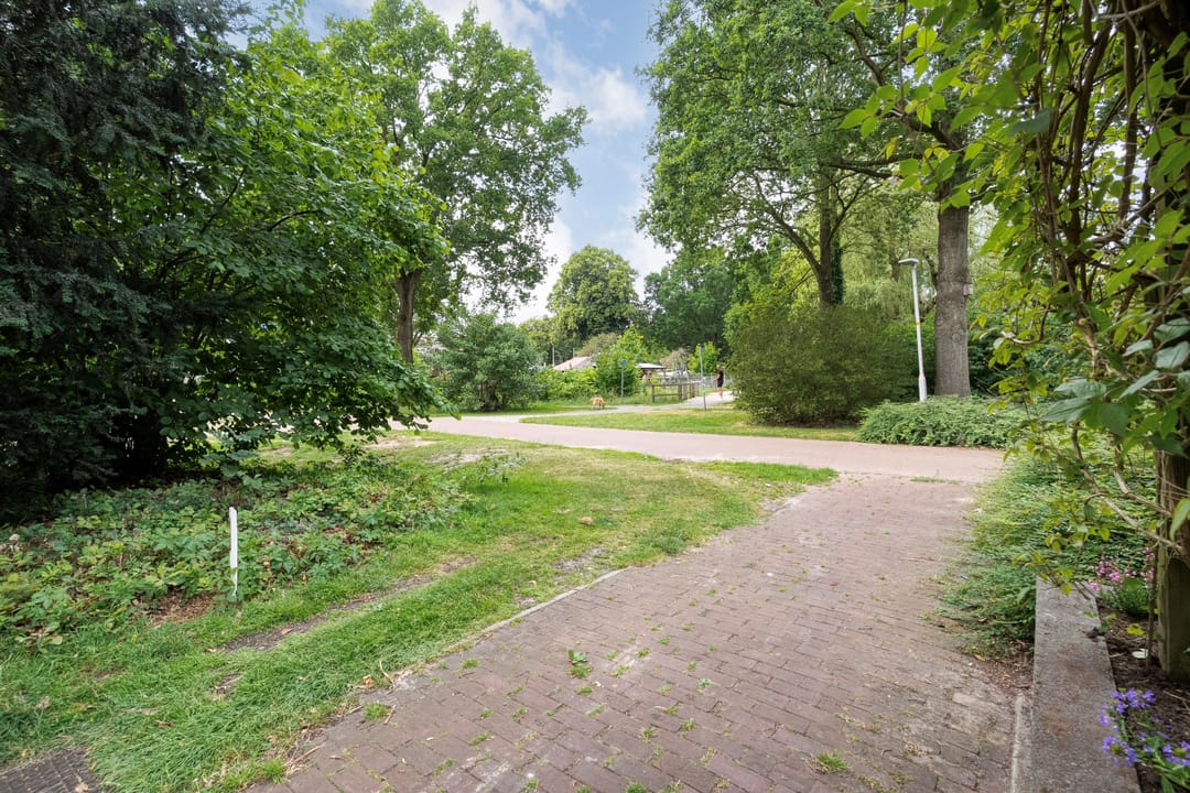 Photo 8 of Paasberg 6