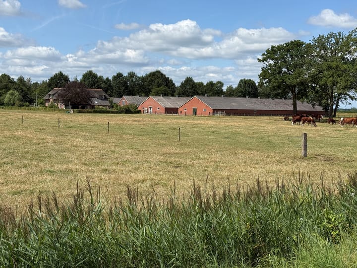 Foto 5 van Maneschijnsweg 2-ONG
