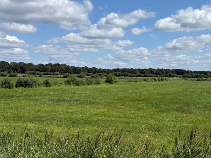 Foto 4 van Maneschijnsweg 2-ONG