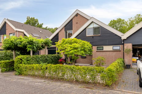 Langetuin thumbnail
