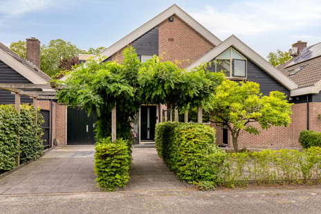Langetuin thumbnail