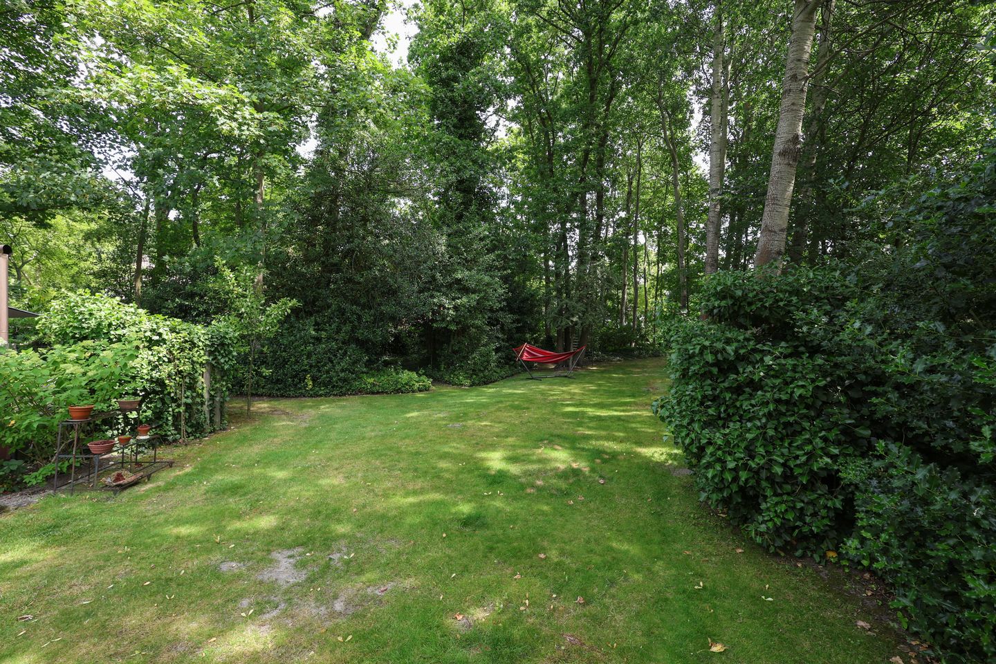 Photo 79 of Bosweg 4