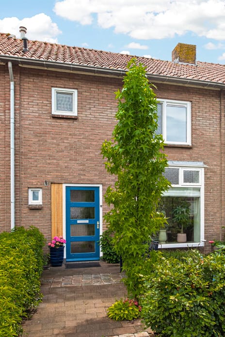 Anjerstraat thumbnail