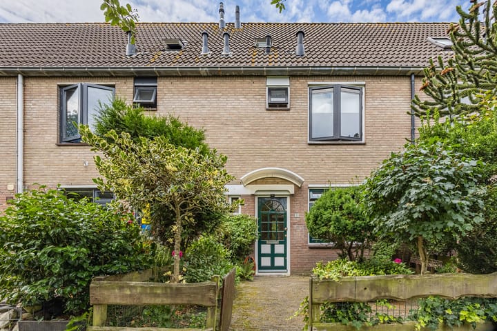 van Brederodestraat 11
