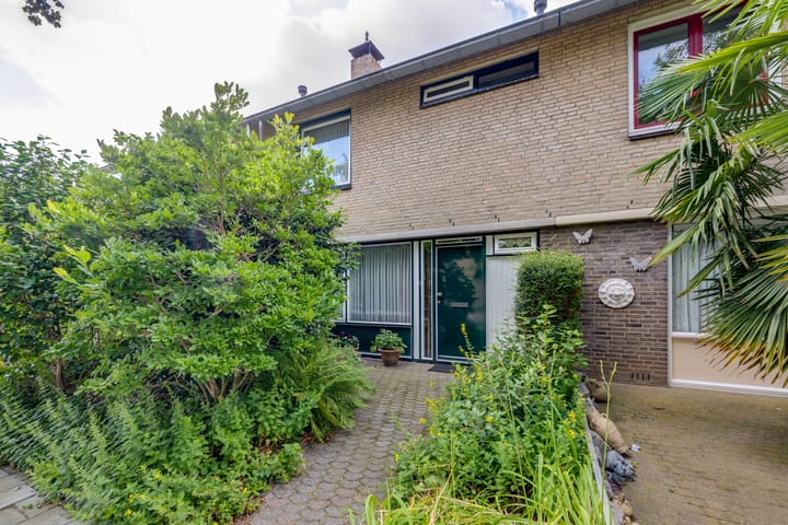 Schrauwenstraat 22