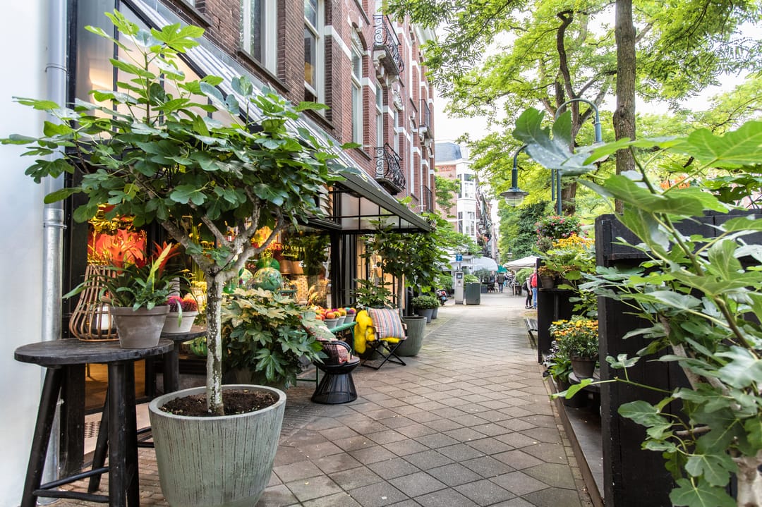 Photo 62 of Van Breestraat 148-H
