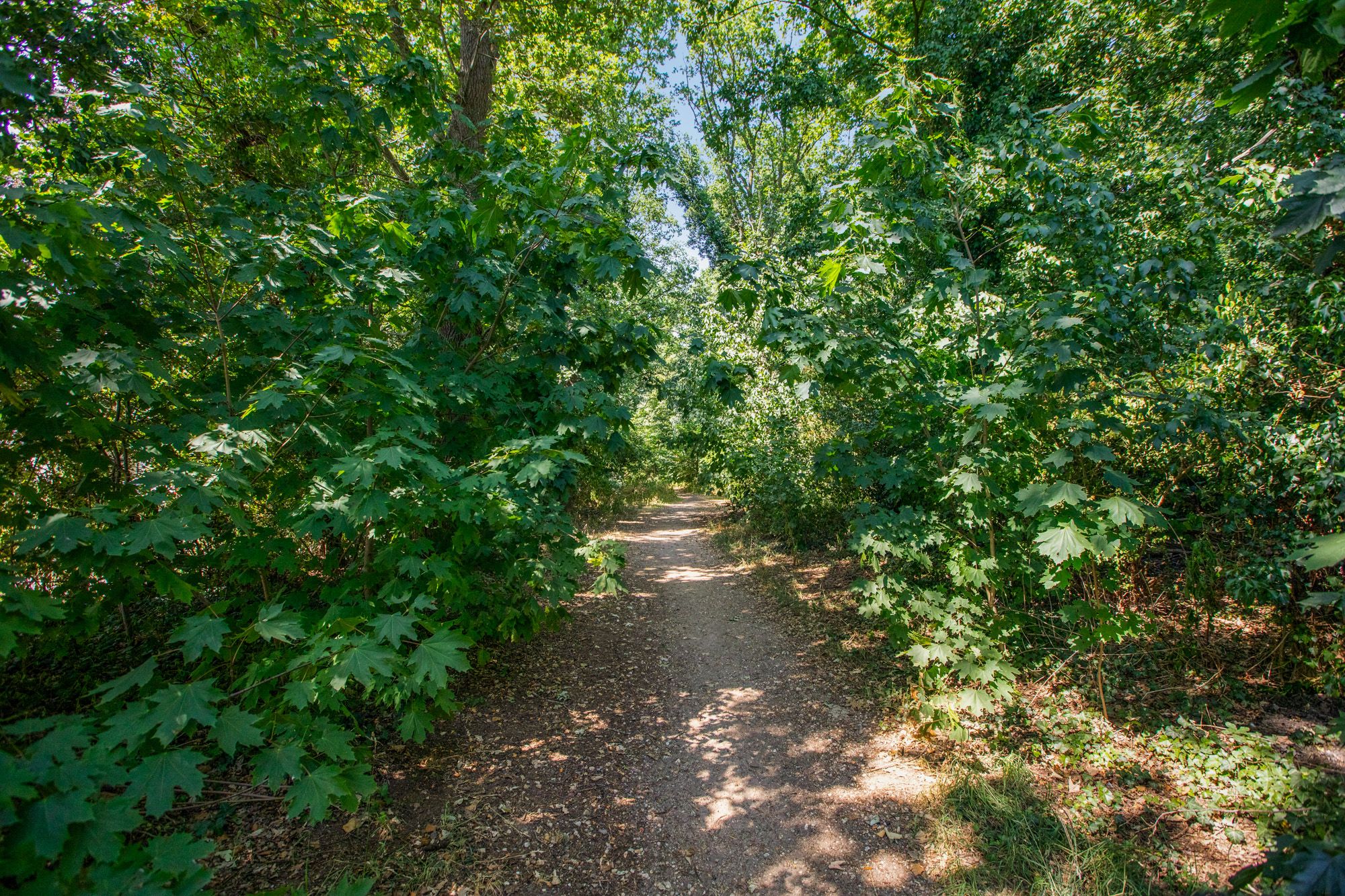 Foto 42 van Zwarte Kolkseweg 5-A
