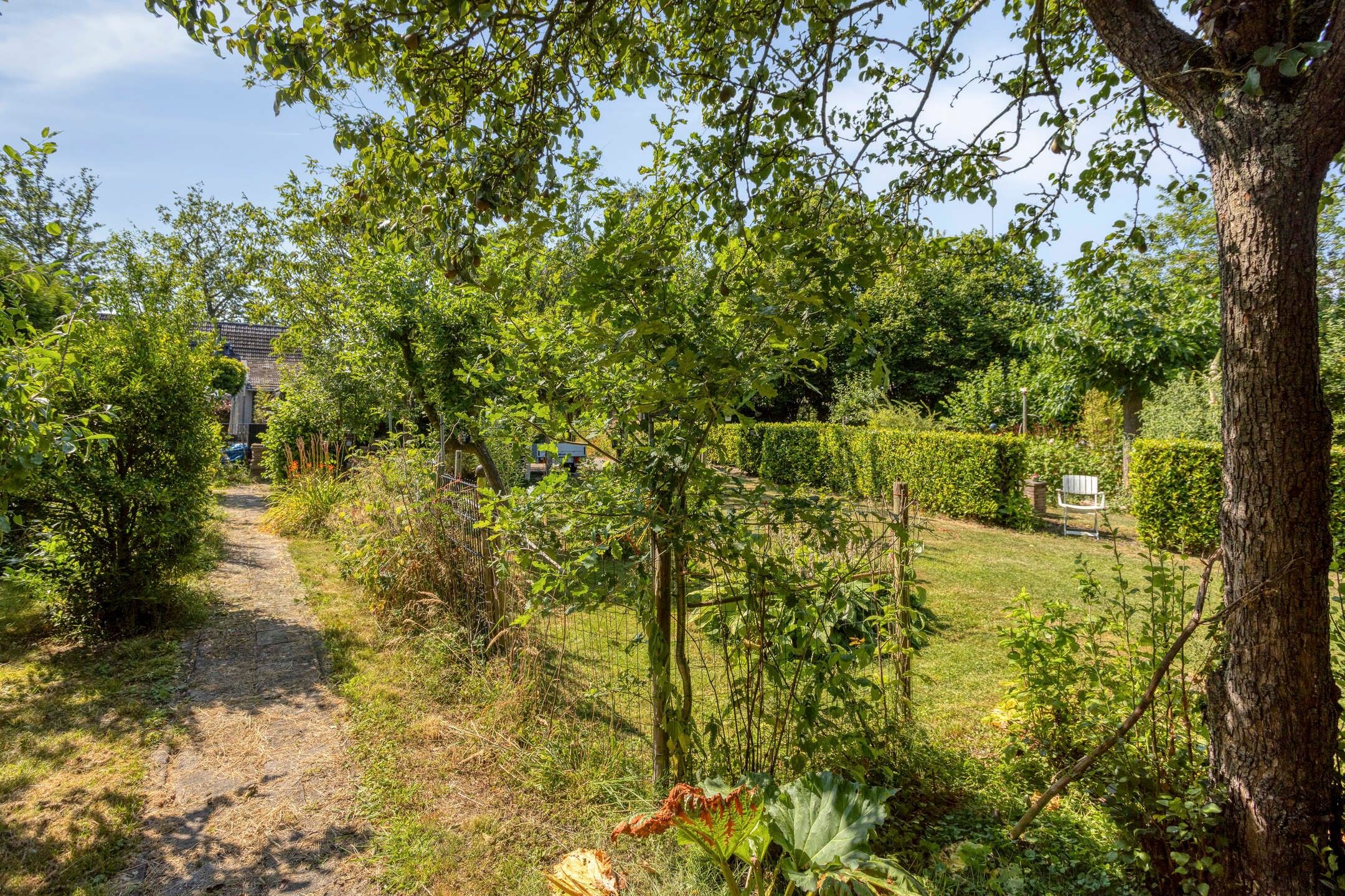 Foto 42 van Molendijk-Noord 101
