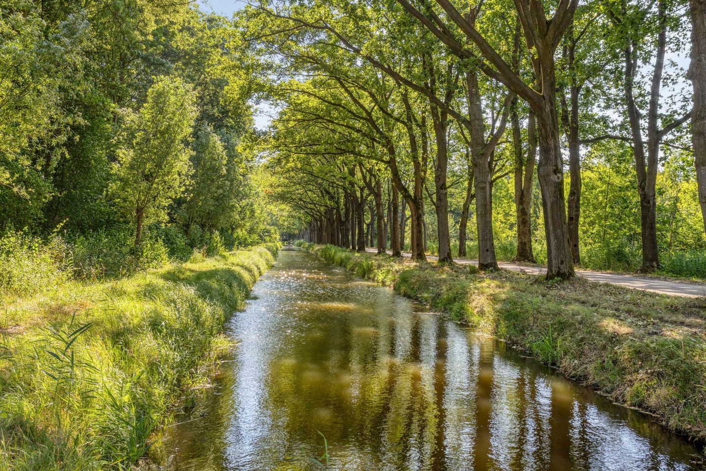 Foto 55 van Molendijk-Noord 101