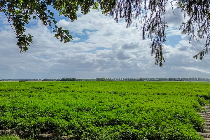 Foto 3 van Grootmoedersdijk 1
