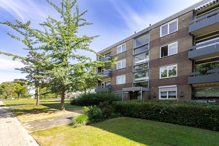 Foto 4 van Palmstraat 66