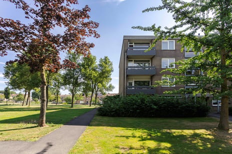 Palmstraat thumbnail