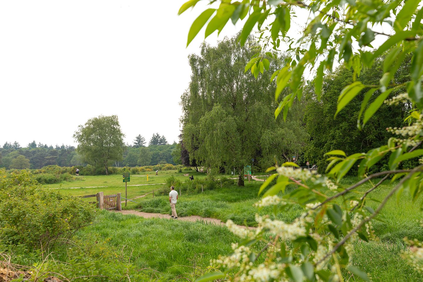 Photo 20 of Van der Zaenlaan 15