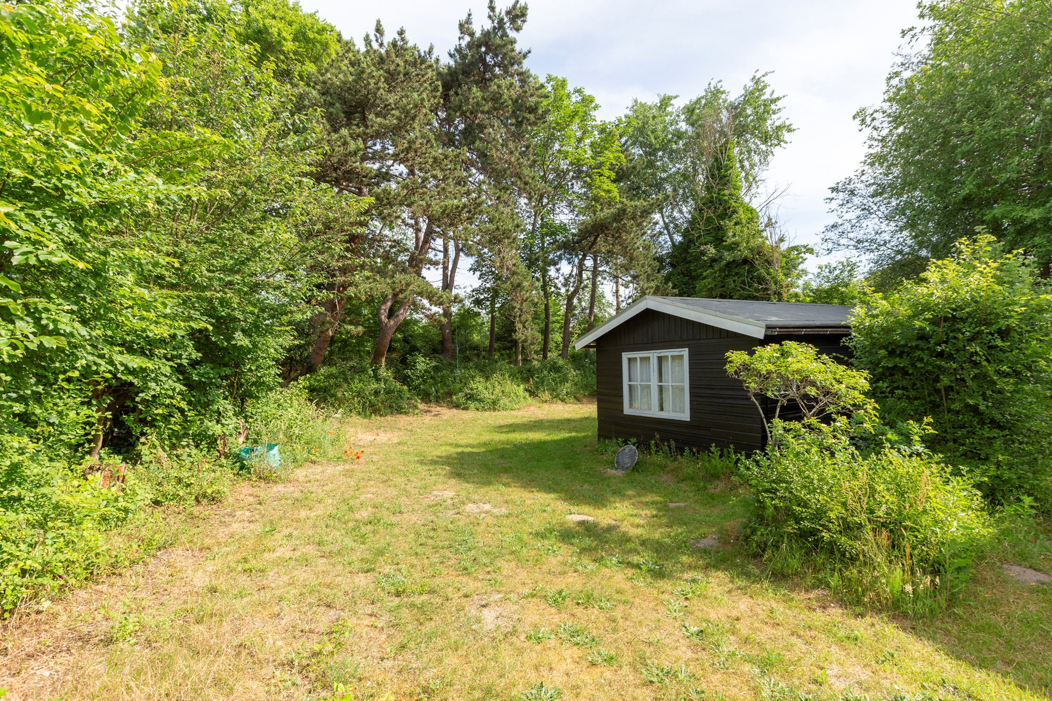 2-bedroom freehold villa in Ouddorp — photo 4 of 5