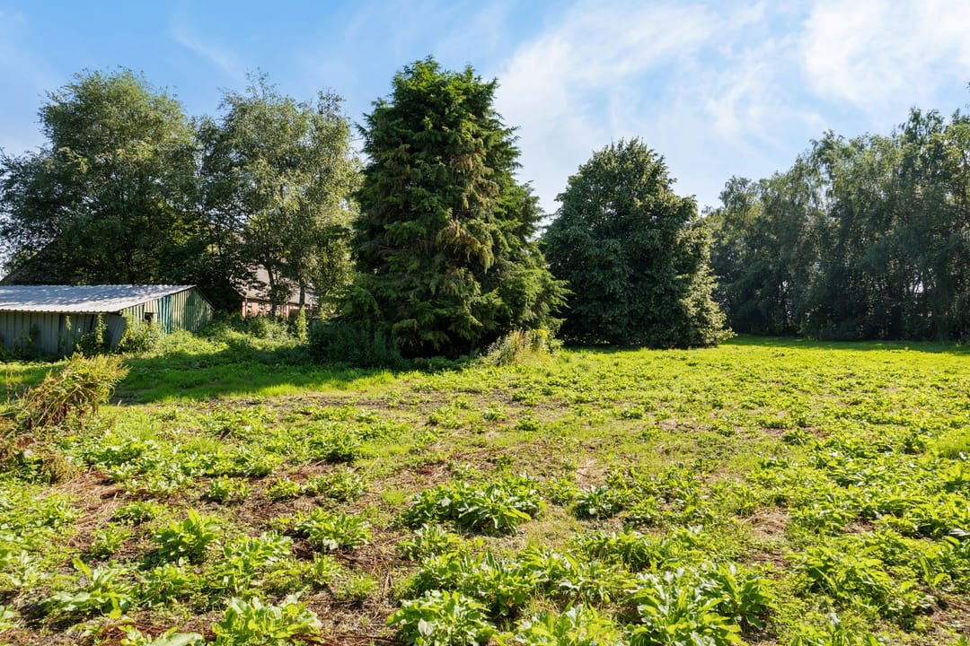 Photo 62 of Noorderblokken 21