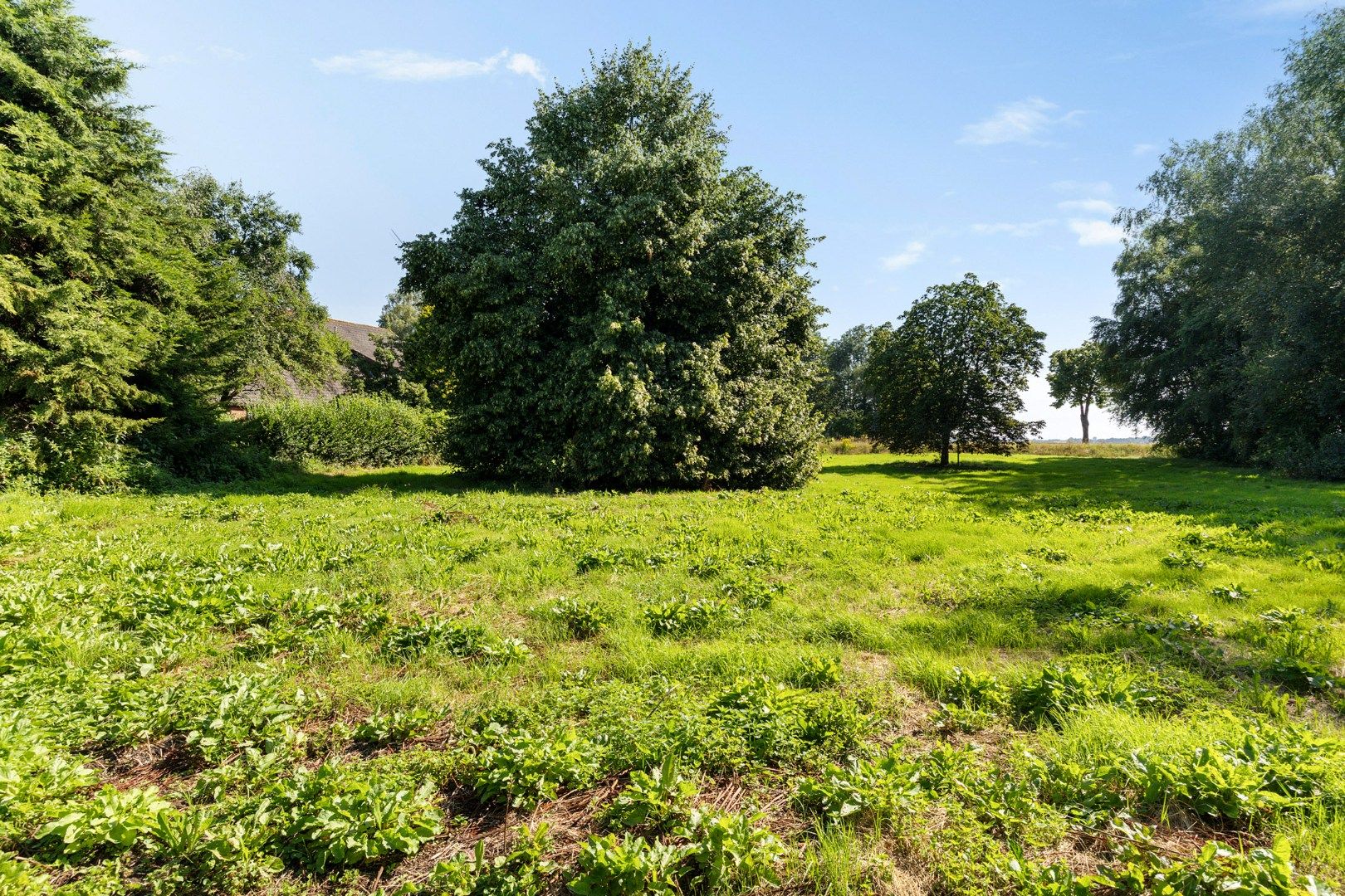 Photo 63 of Noorderblokken 21