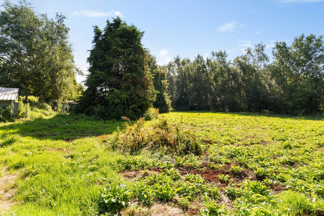 Photo 61 of Noorderblokken 21