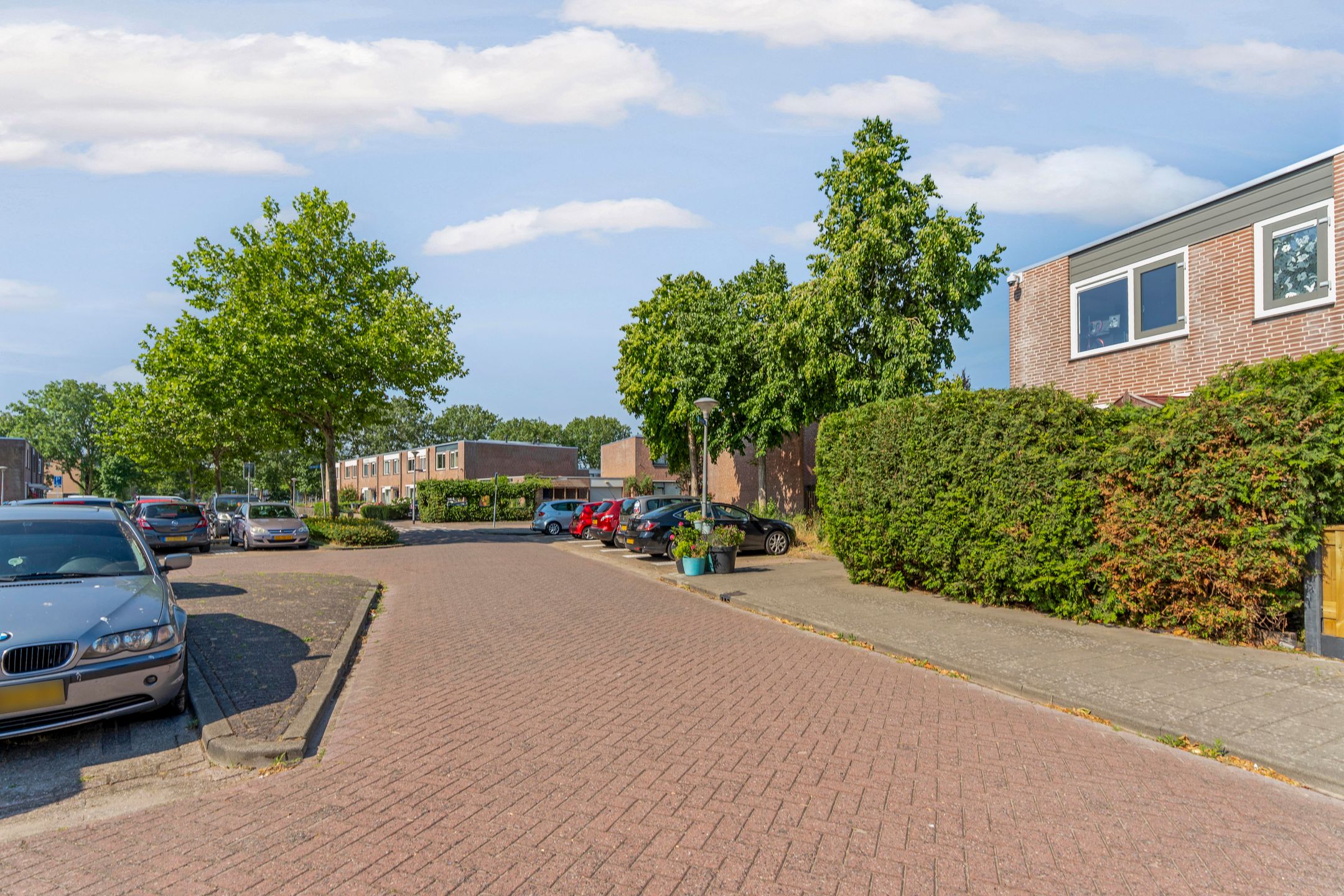 Photo 42 of Oldewierde 239