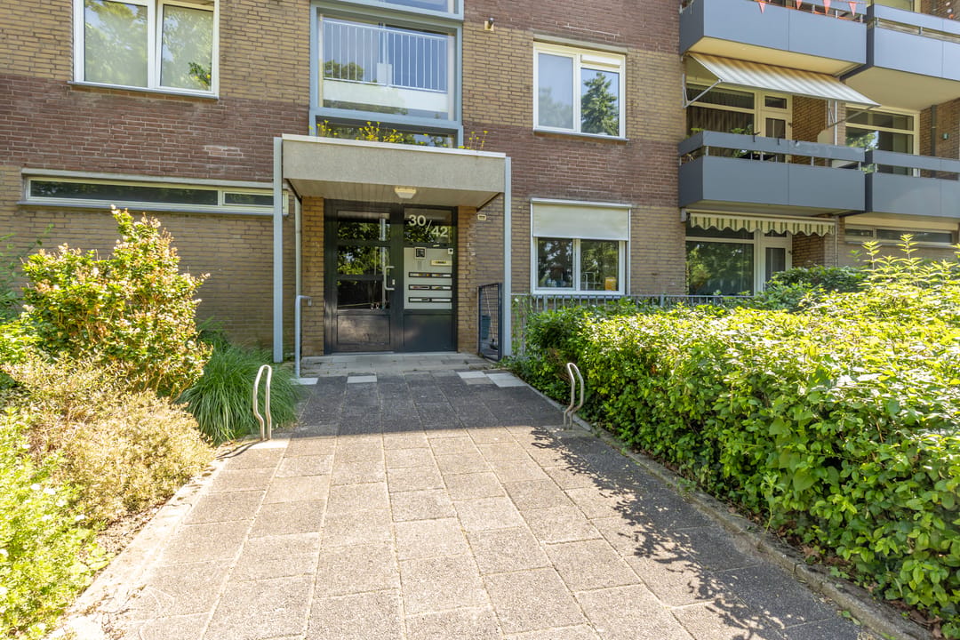 Photo 23 of Palmstraat 42