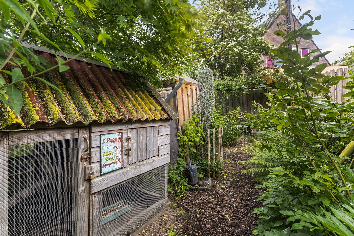 Photo 34 of Het Oosten 13