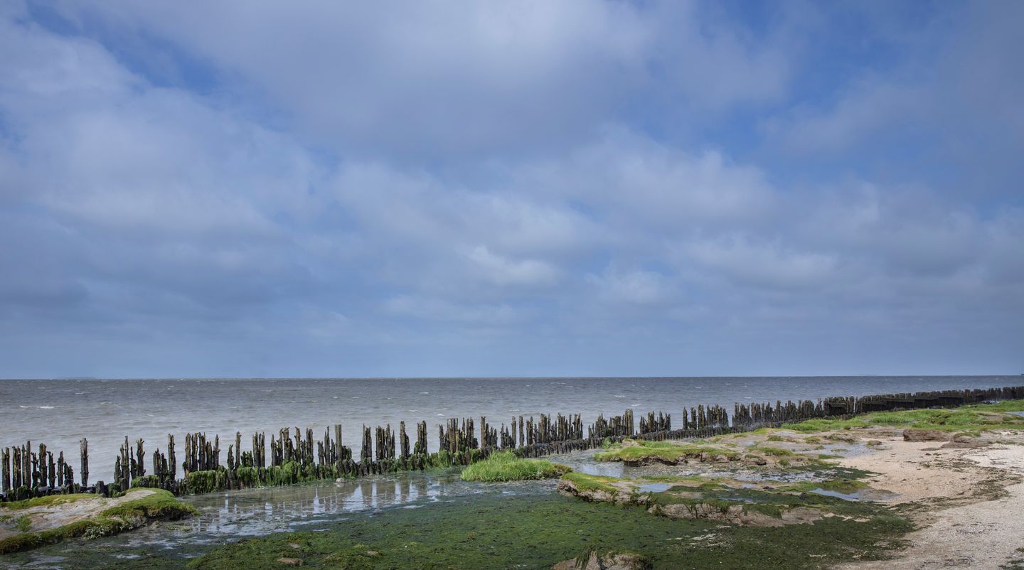 Photo 49 of Tsjerkestrjitte 2