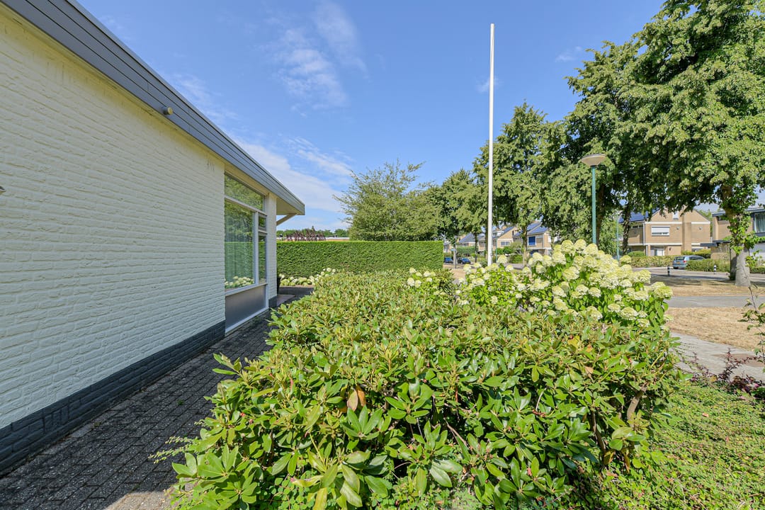Foto 31 van Steenbergen 18
