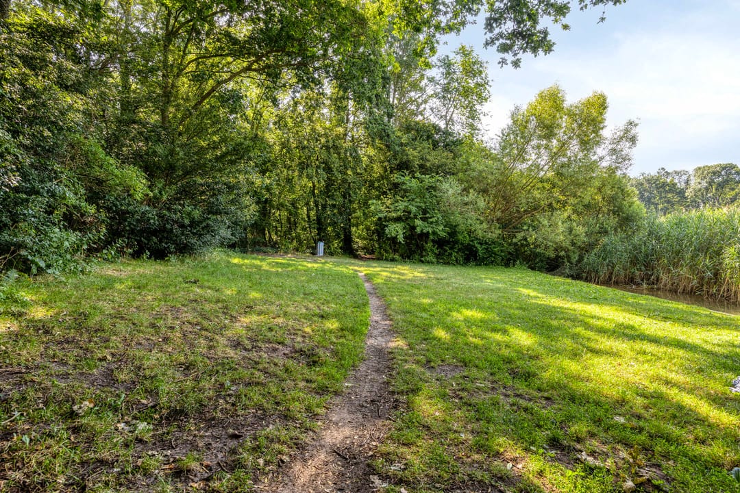Photo 22 of Berkenhof 79