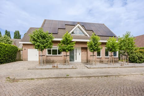 Iepenlaan thumbnail
