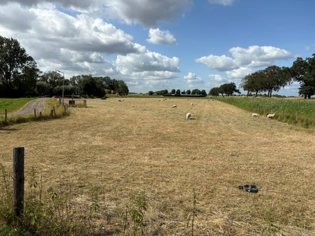 Bekijk foto 1 van Venedijk Zuid 14