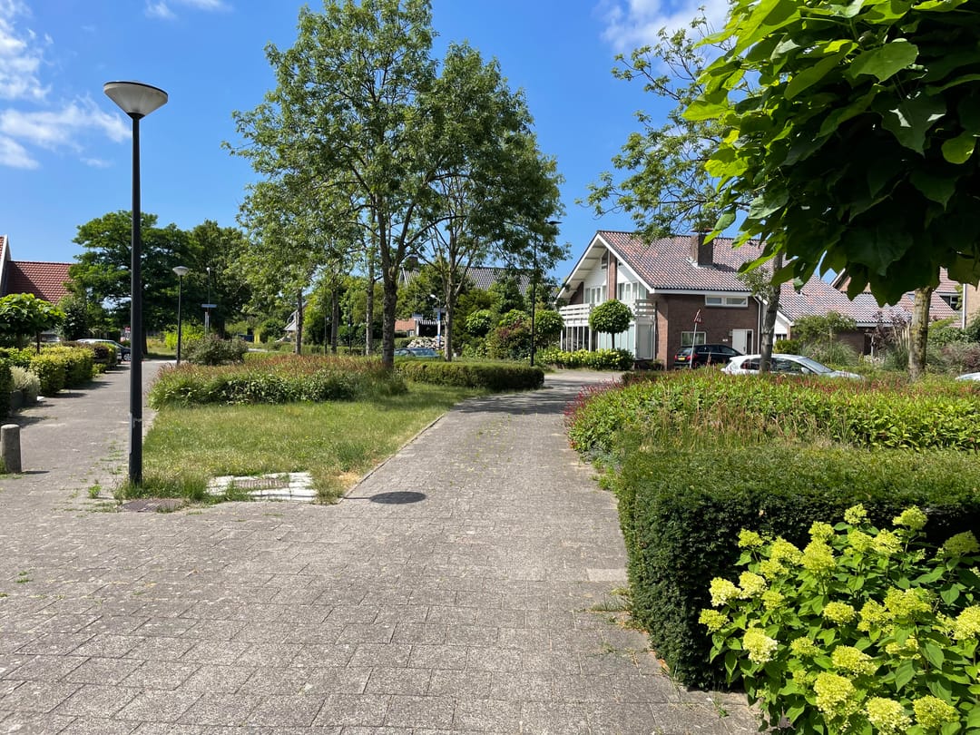 Foto 7 van Westertuinen 43 C